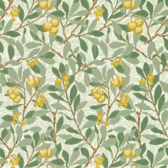 Arbutus 217356