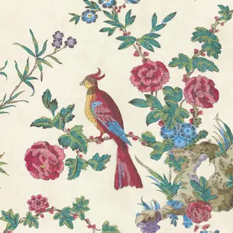 Darwin Provence