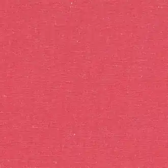 Jimi J2187-017