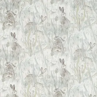 Dune Hares 226436
