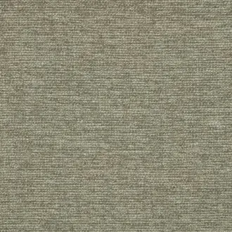 Sirocco Pine