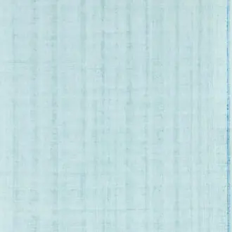 Papyrus 113196