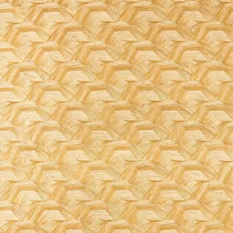 Cartography 134716