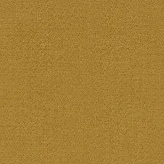 Dune 48622538