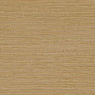Zostera 75972140