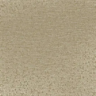 Artifact 312452