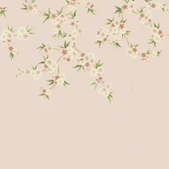 Rosa 112887
