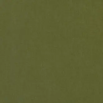 Lucerne Kiwi V3244-18