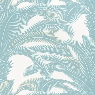 Queen Palm T13909
