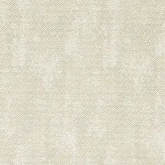 Bjorn F1629-04