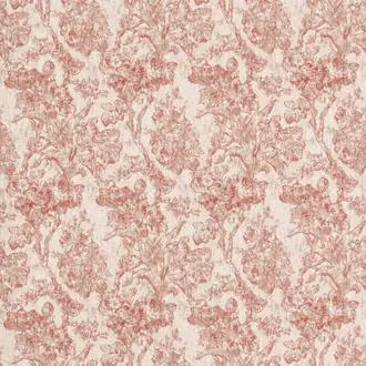 Fringed Tulip Toile DGDF227182