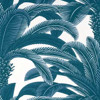 Queen Palm T13910