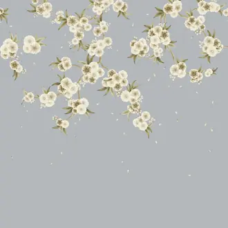 Rosa 112888