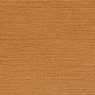 Zostera 75972038