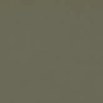 Laser II Olive K5094-92