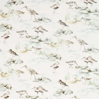 Estuary Birds 226426