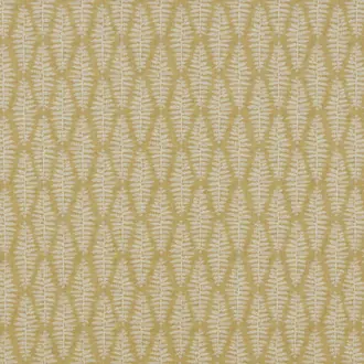 Fernia Mustard
