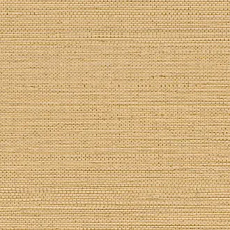 Zostera 75971936