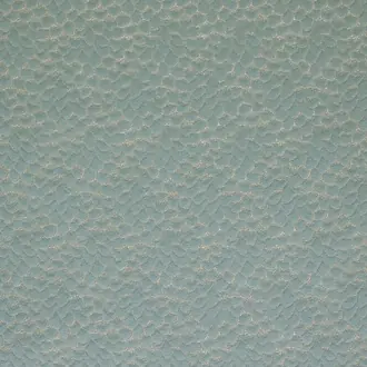 Ecaille De Chin 4254-01