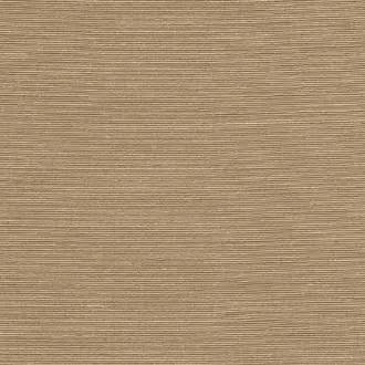 Agave 90539