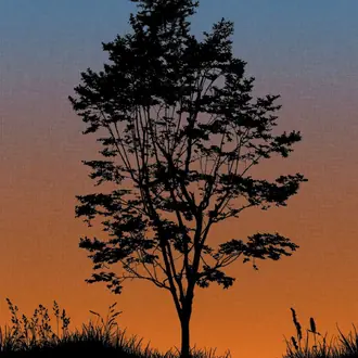 Trees TR71905M