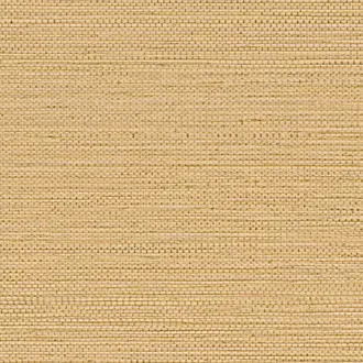 Zostera 75971936