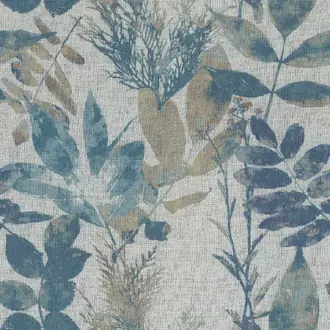 Anthea 8004-164