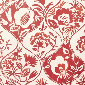 Calathea Paper P2023126-19