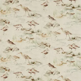 Estuary Birds 226427