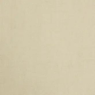 Albert 17