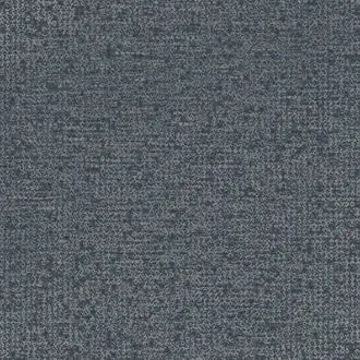 Artifact 312455