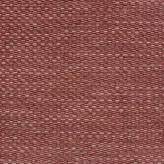 Tartuffe NCF4311-01