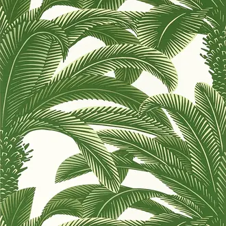 Queen Palm T13907