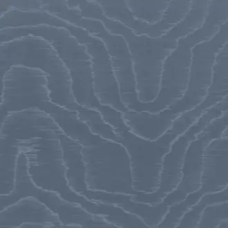 Moire Sauvage 47261A