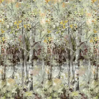 Bois De Bouleau Scene 2 PDG1176-01