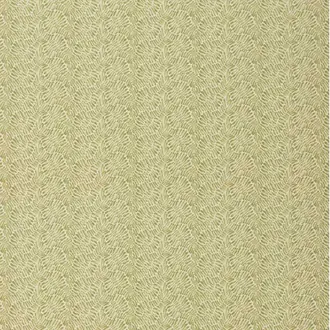 Wave ED75052-795