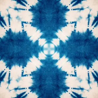 Shibori Butterfly WP20203