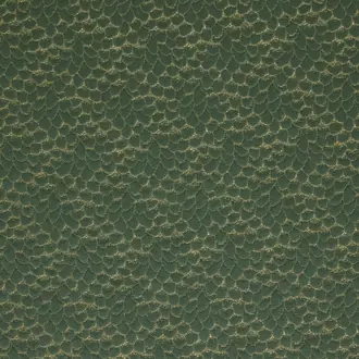 Ecaille De Chin 4254-02