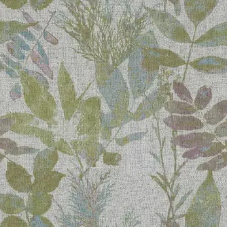 Anthea 8004-184