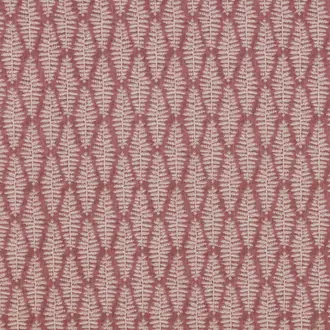 Fernia Rosa