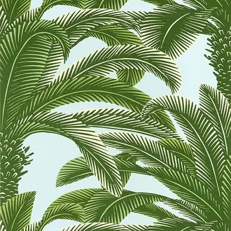 Queen Palm T13908