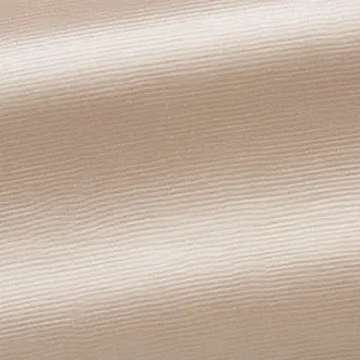 Olympe F3114009