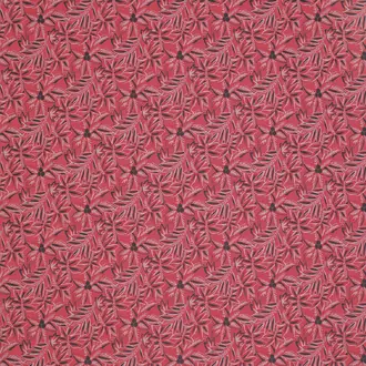 Loulou NCF4283-01