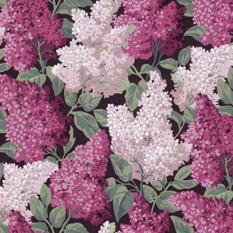 Lilac Grandiflora 115-15045