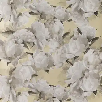 Peonia PDG1094-04