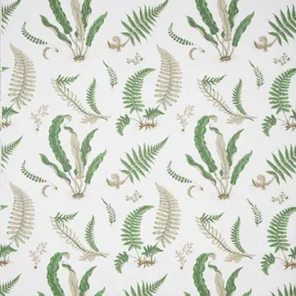 Ferns Chintz Green White B0860-1