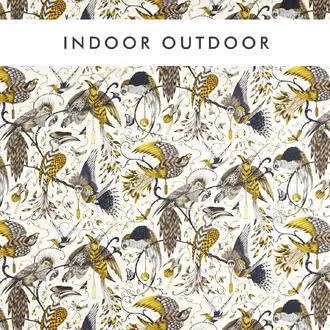 Audubon Indoor Outdoor CCF0864-03