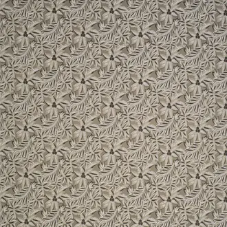 Loulou NCF4283-02