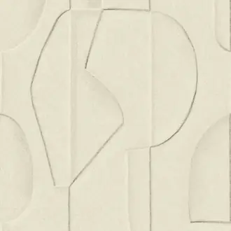 Artifact 312480