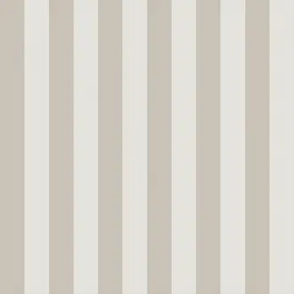 Regatta Stripe 110-3015